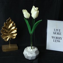 Moryconcept Lale 3'lü Çiçek Taş Saksı