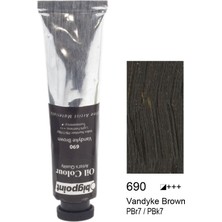 Bigpoint Fine Artist's Yağlı Boya 200ML Vandyke Brown 690