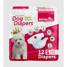Royalist Köpek Külodu Small 12'li