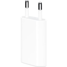 Techomi Tüm Iphone Serilerle Uyumlu Hızlı Şarj Aleti 5W Şarj Adaptörü Başlığı