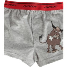 Miorre Erkek Çocuk Boxer %100 Pamuklu Rahat Tasarımlı Nefes Alabilir Kumaş İçeren Paket
