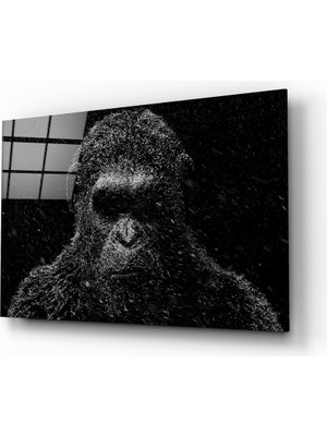 Insigne Goril Cam Tablo