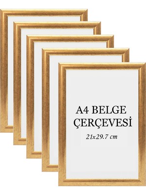 Özcanlar Çerçeve 5'li Set A4 Çerçeve Ucuz 21X29,7 Sertifika Evrak Diploma Belge Fotoğraf Çerçevesi Duvara Asılabilir Ofis