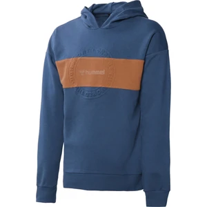 Ricksy Erkek Lacivert Baskılı Kapüşonlu Sweatshirt