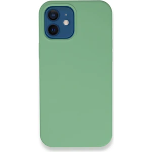 Apple iPhone 12 Lansman Silikon Kılıf Tam Koruma