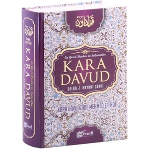 Kara Davut Delail Hayrat Şerhi - Kara Davutzade Mehmed Efendi