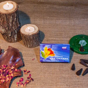 Hari Darshan Tütsü Darshan International Nag Champa Konik Tütsü 10 Adet