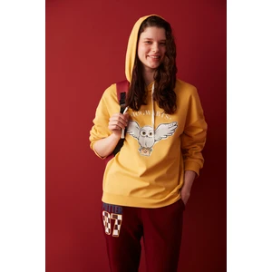 Hedwig Sweatshirt-Harry Potter Koleksiyonu