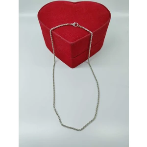 Doğal Taş Delisi Gümüş Kaplama Kararmaz Kolye Zinciri (47 cm)