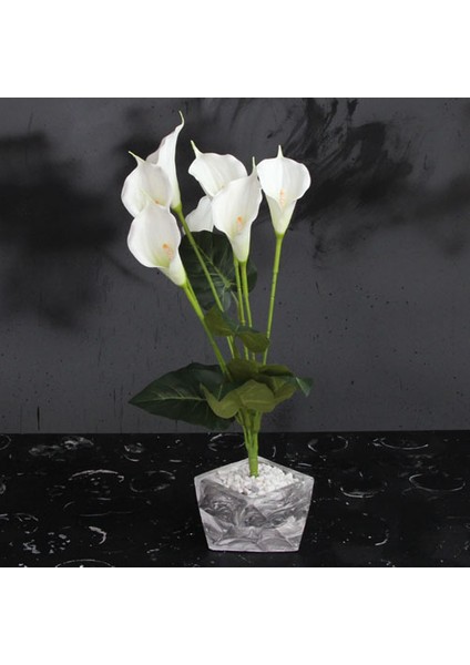 Gala Çiçek Taş Saksı 55 cm