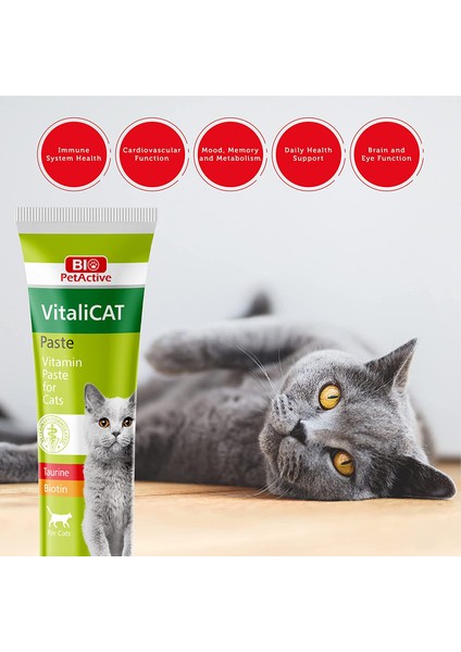 Paste 100 ml modelleri