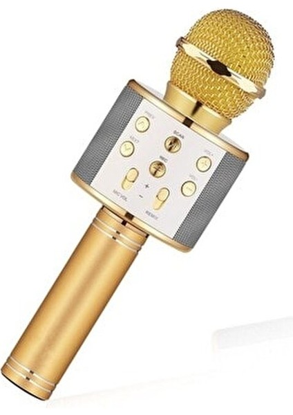 WS-858 Ses Değiştirmeli Karaoke Mikrofon Gold