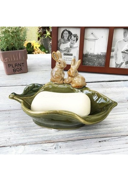 Sabunluk (Yurt Dışından) fiyatları