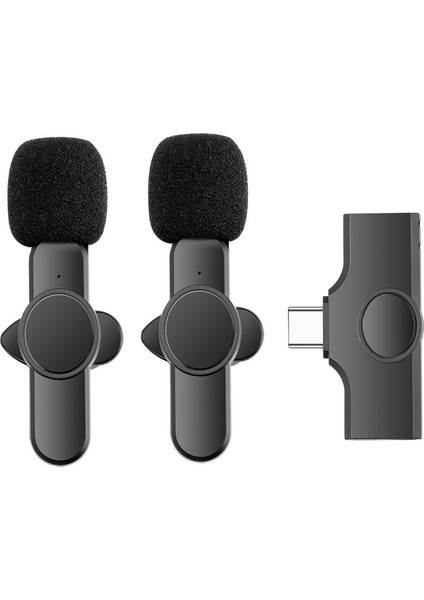 2li Type-C Profesyonel Wireless Kablosuz Röportaj Yaka Mikrofonu Lavalier - AL3009