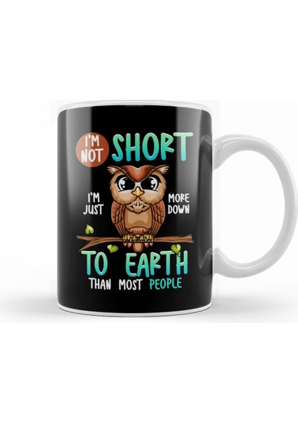 Funny I M Not Short I M Just Down To Earth Owl Pun Kupa Bardak Porselen
