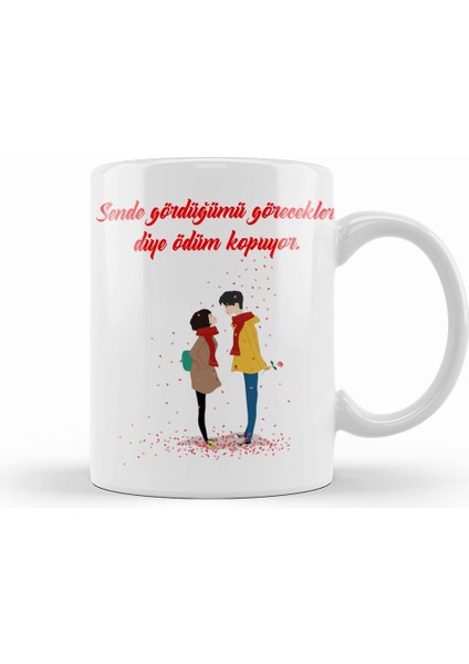 Sevgililer Günü Sevgiliye Hediye 0220 Kupa Bardak Porselen