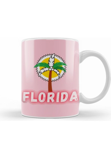 Florida Love Vintage Retro Rainbow Kupa Bardak Porselen