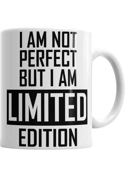 Iron Maiden The Book Of Souls Kupa Bardak Porselen