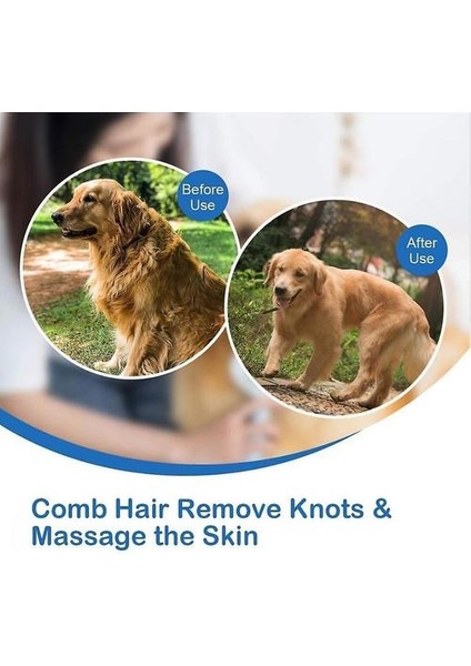 Pet Tarak Fırça (Yurt Dışından)