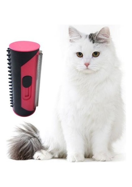 Pet Tarak Fırça (Yurt Dışından)