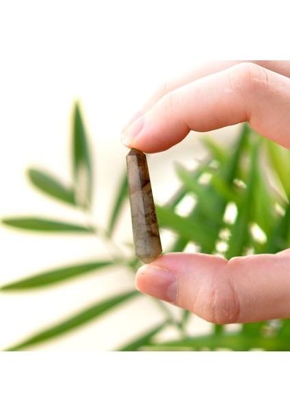 Labradorit Taşı Çift Uçlu Kazık Kütle - Küçük Boy