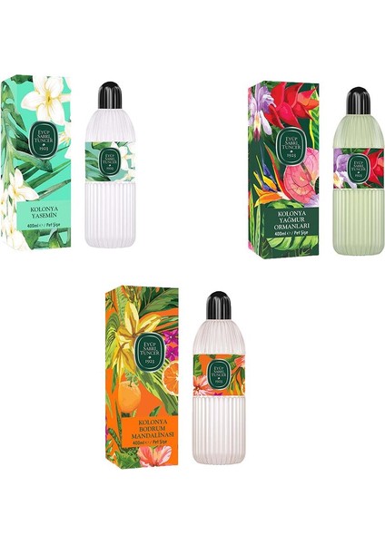 Kolonya Bodrum Mandalinası, Yasemin ve Yağmur Ormanları