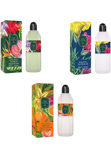 Kolonya Bodrum Mandalinası, Yağmur Ormanları ve Hatıralar