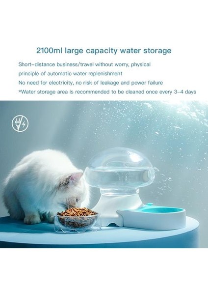 Evcil Hayvan Su ve Besleme Kabı (Yurt Dışından) modelleri