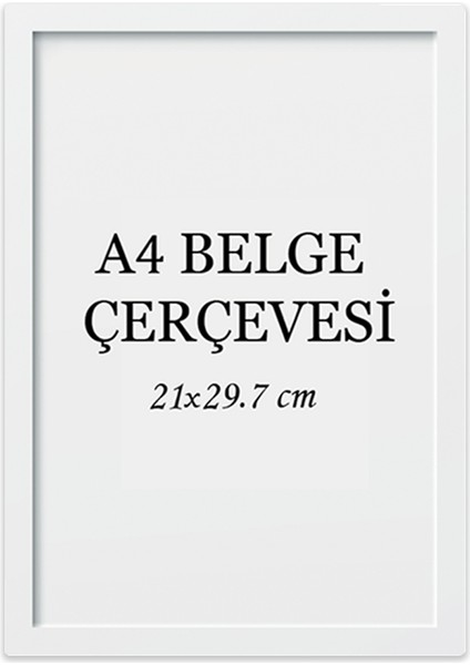 5'li Set A4 Çerçeve Ucuz 21X29,7 Sertifika Evrak Diploma Belge Fotoğraf Çerçevesi Duvara Asılabilir Ofis