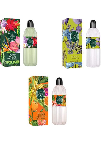 Kolonya Bodrum Mandalinası, Yağmur Ormanları ve Lavanta