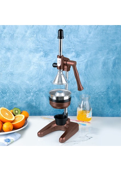 CKR-700 Sanayi Tipi Meyve Presi Bakır