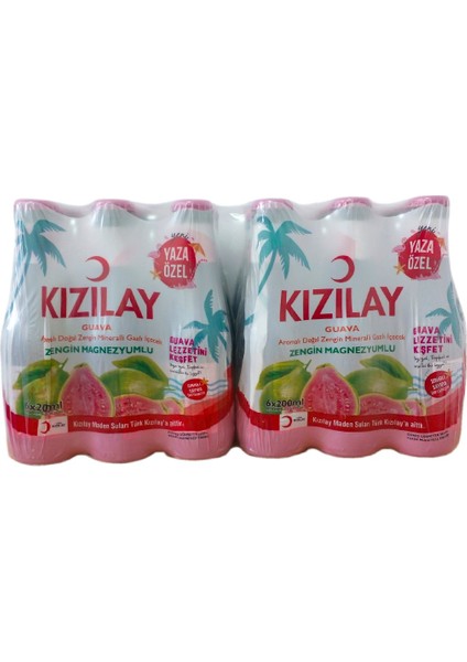 Guava Aromalı Maden Suyu 24 x 200 ml