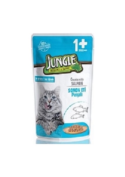 Somonlu Yetişkin Kedi Pouch 100 gr x 24 Adet