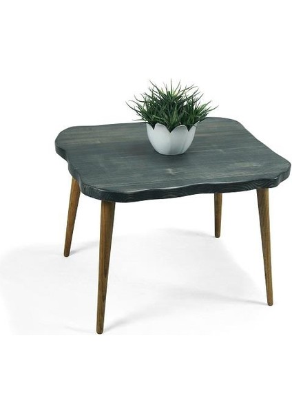 Doğal Ağaç Masif Kütük Lata Orta Sehpa 65CM x 85CM Ağaç Ayak