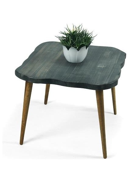 Doğal Ağaç Masif Kütük Lata Orta Sehpa 65CM x 85CM Ağaç Ayak