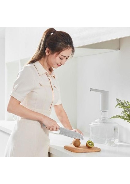 Tds Otomatik Mini Dokunmatik Anahtarı Su Pompası (Yurt Dışından)