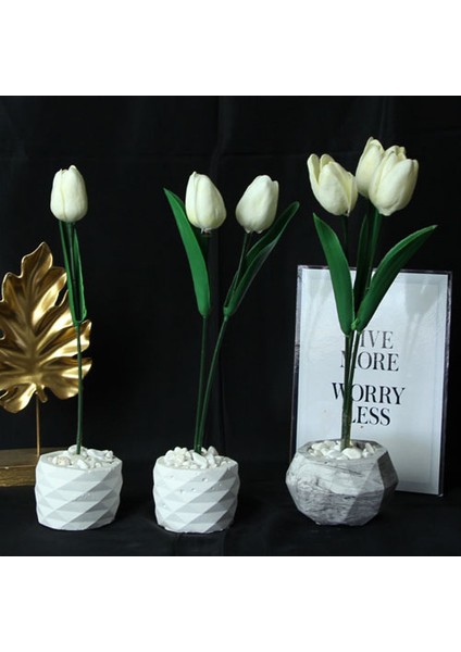 Lale 3 Lü Set Çiçek Taş Saksı