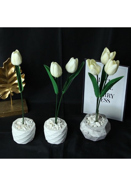 Lale 3 Lü Set Çiçek Taş Saksı