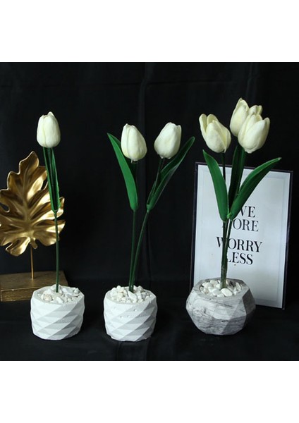 Lale 3 Lü Set Çiçek Taş Saksı