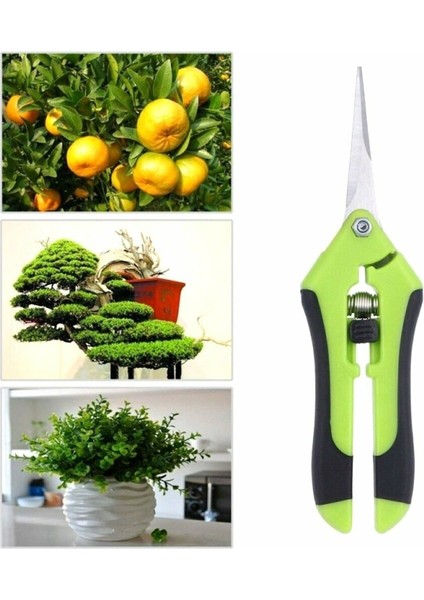 Paslanmaz Çelik Bonsai Fide Çiçek Bağ Bahçe Makası