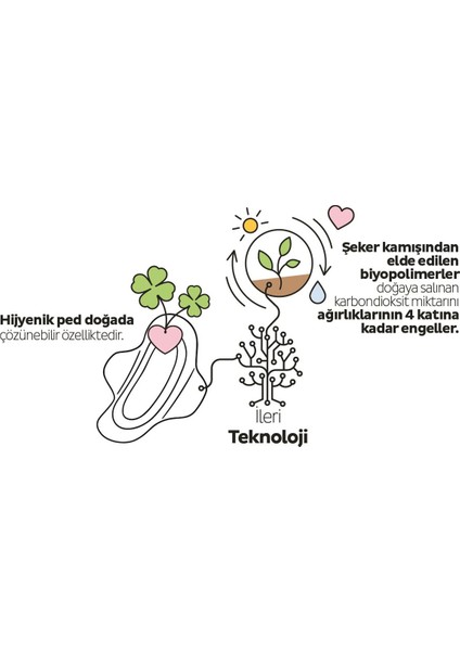 Ecologic premium Plus Günlük Ped Normal 40 Adet Ped