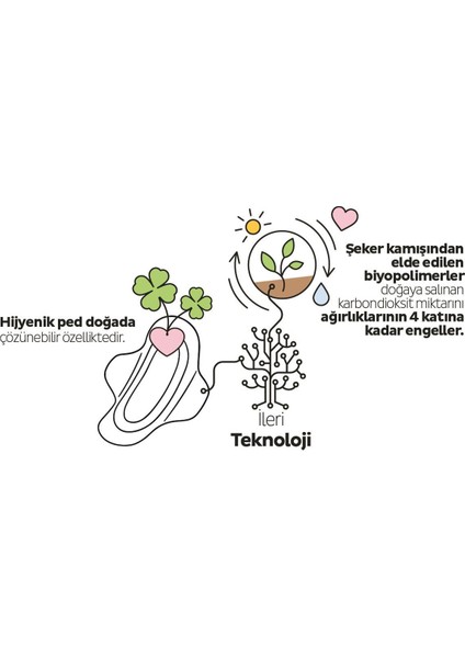 Ecologic premium Plus Günlük Ped Uzun 32 Adet Ped