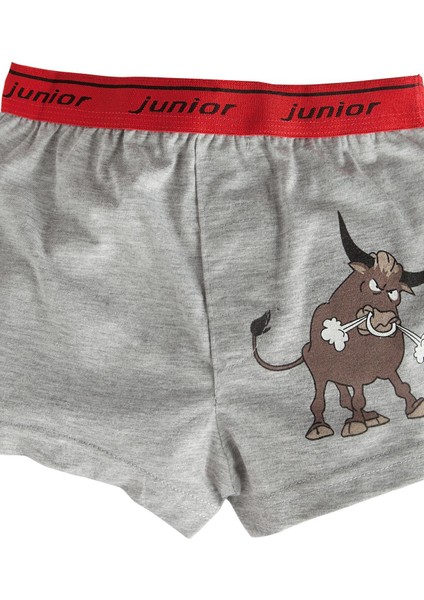 Erkek Çocuk Boxer