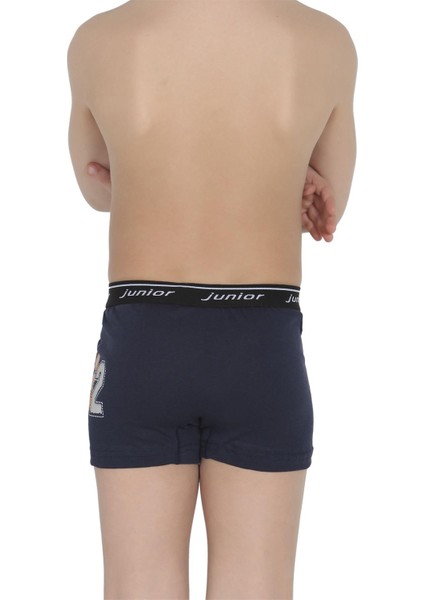 Boxer Erkek Çocuk 44005 fiyatları