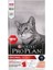 Cat Adult Somonlu 3 kg 1