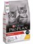 Cat Kitten Tavuklu 1.5 kg 1