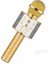 WS-858 Ses Değiştirmeli Karaoke Mikrofon Gold 1