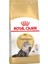 Persian Yetişkin Kedi Maması 2 kg 1