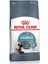 Hairball Care Adult Kedi Maması 2 kg 1
