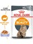 Canin Intense Beauty Pouch Gravy Yaş Kedi Maması 85 GRX12ADET 2